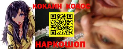 гашик Кингисепп