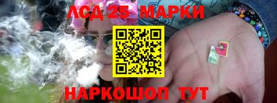гашик Кингисепп