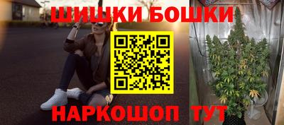 гашик Кингисепп