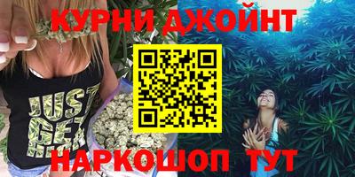 гашик Кингисепп