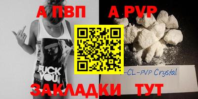 гашик Кингисепп