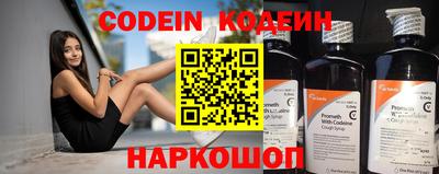 гашик Кингисепп