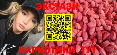 гашик Кингисепп