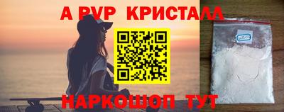 гашик Кингисепп