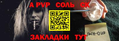 гашик Кингисепп