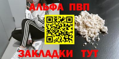 гашик Кингисепп