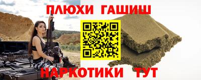 гашик Кингисепп