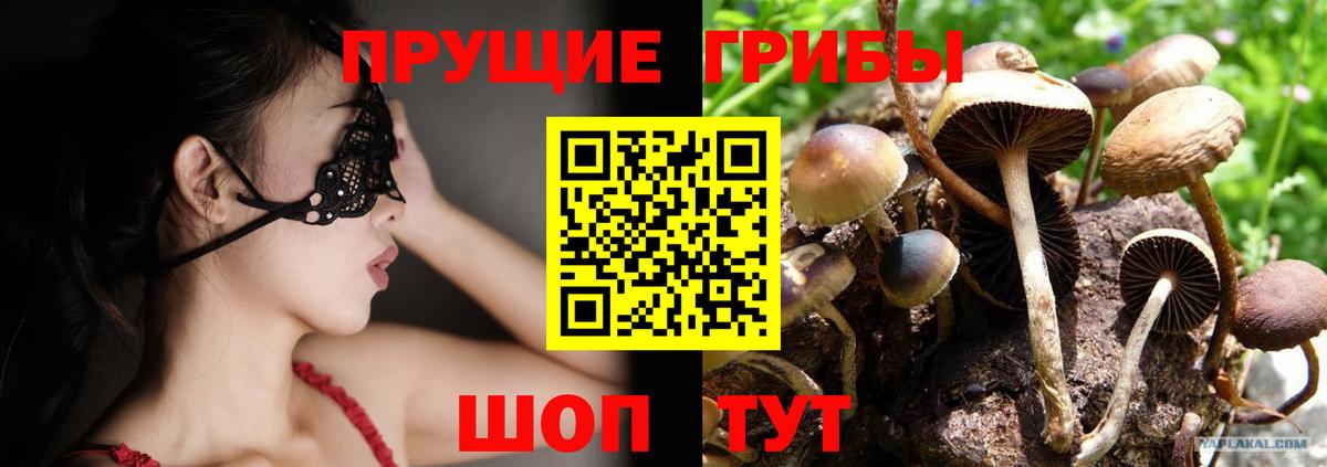 Галлюциногенные грибы мухоморы  Вход с VPN  Шарыпово 